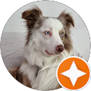 Laura Sacca profile picture